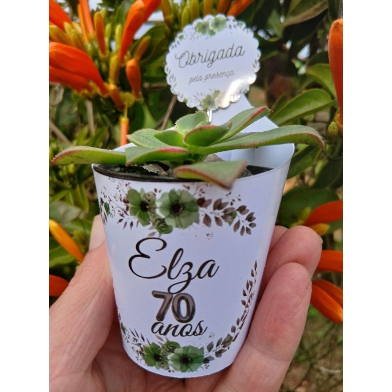 100 UNID de rótulos e tags personalizadas para lembrancinhas de suculentas-aniversário 70 anos