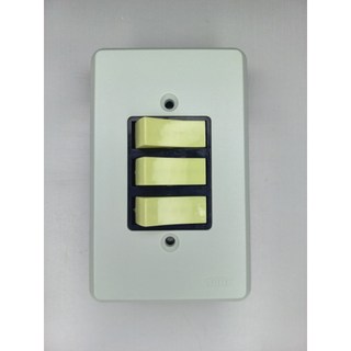 Placa 4x2 Interruptor Paralelo + 2 Simples