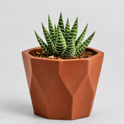Mini Vasinho cachepot Decorativos para suculentas, Cactus e Plantas Artificiais