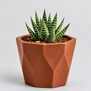 Mini Vasinho cachepot Decorativos para suculentas, Cactus e Plantas Artificiais