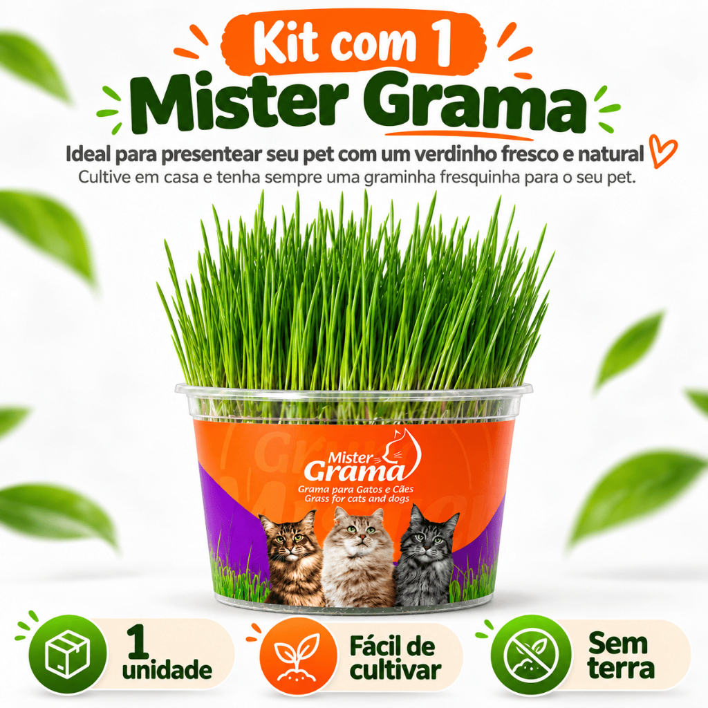 Grama Para Gato Mister– Auxilia na Digestão e Bola de Pelo / Fácil de Plantar