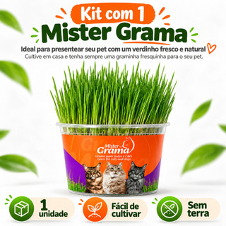 Grama Para Gato Mister– Auxilia na Digestão e Bola de Pelo / Fácil de Plantar