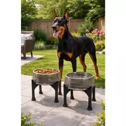 Comedouro Elevado Alto 1,5L 27,5cm Para Cães Grandes Anti-Formiga Postura Correta Cor Fumê