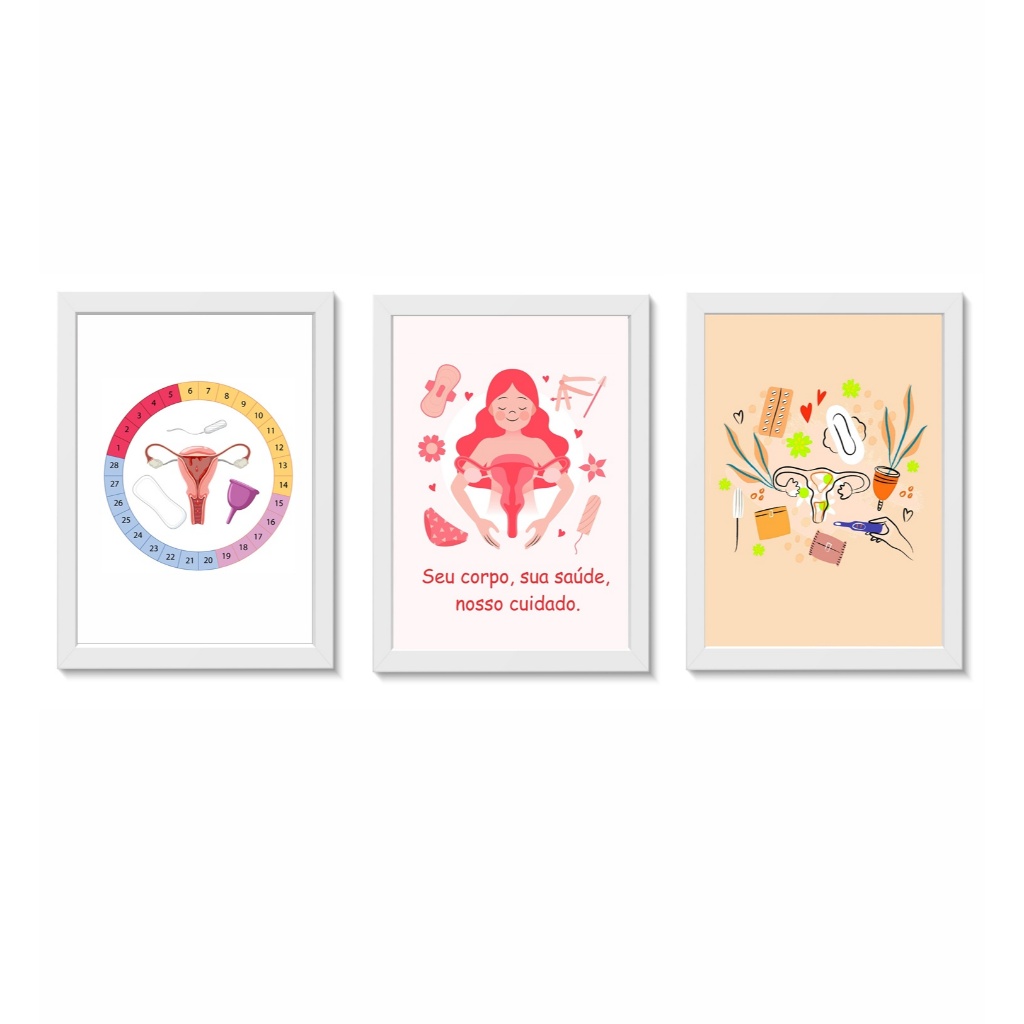 Kit 3 Quadros Decorativos Ciclo Menstrual Ginecologia Medicina Moldura 20x30cm Madeira Vidro