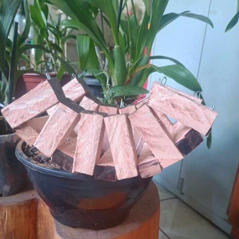 cachepôs tipo barca de madeira para orquídeas