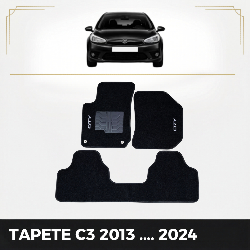 Kit Jogo De Tapetes 3 Peças Específico C3 2013 14 15 ... 22 23 2024 Carpete Preto