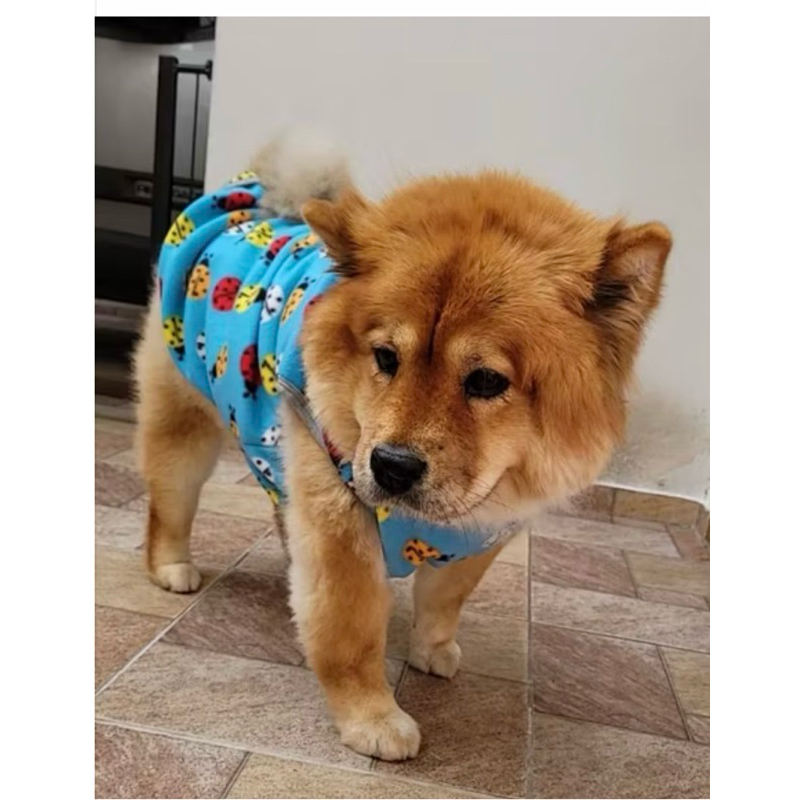Roupa pet para cachorros, roupa de frio, tecido fleece, raças médias e grande