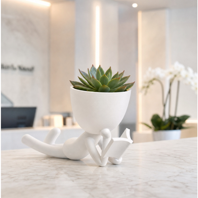 Vaso Decorativo Bob Robert Leitor | Cachepot Vazinhos Suculentas Cactos Mesa Escritório consultórios EXECUTIVOS Presente