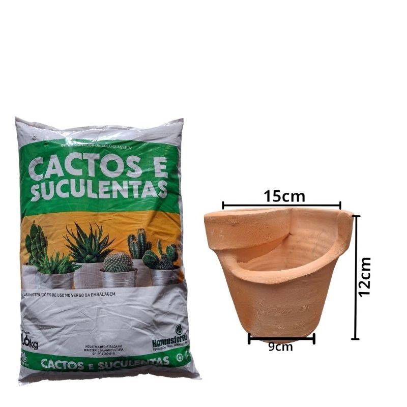 vaso barro suculenteira + Substrato cactos e suculentas