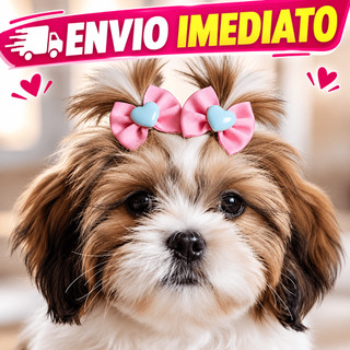 Kit 100/40/20 Laços Pet Lacinho Borboleta de Cetim e Gorgorão Cachorro Fêmea Acessórios Fofos Pet Shop Banho e Tosa
