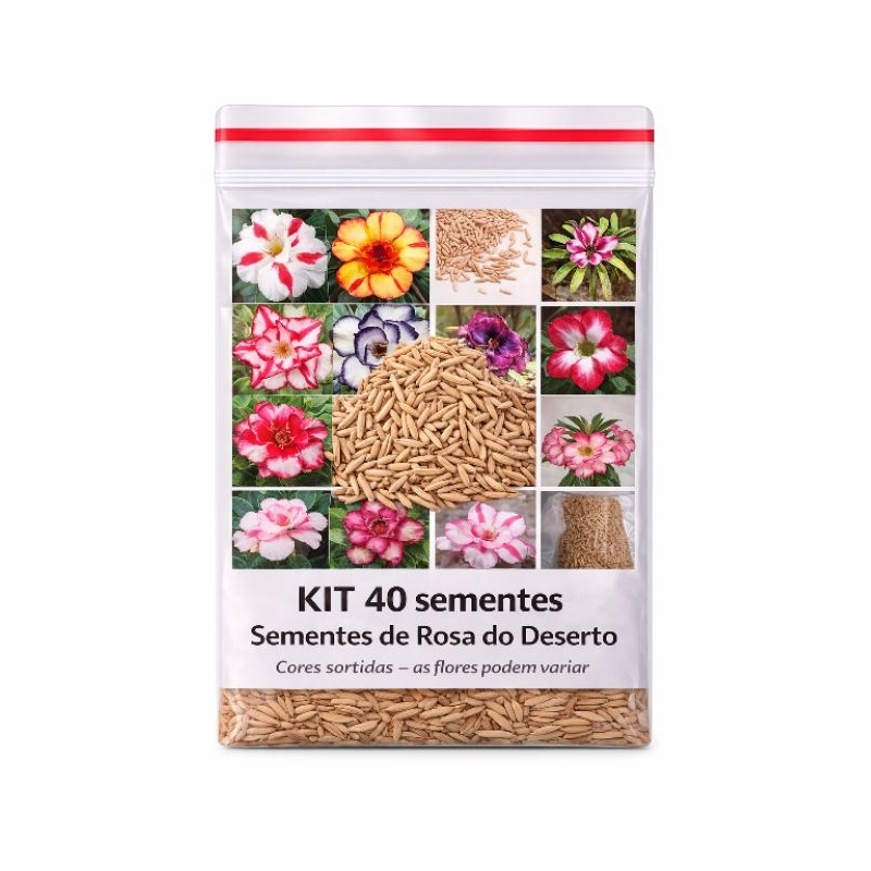 Kit com 40 Sementes de Rosa do Deserto