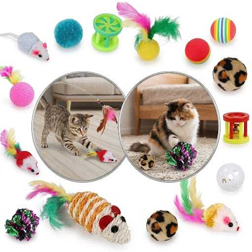 Kit 7 Brinquedos para Pet Varinha Ratinho Bolinha Gatinho filhotes e adultos - Envio imediato em Oferta na Shopee