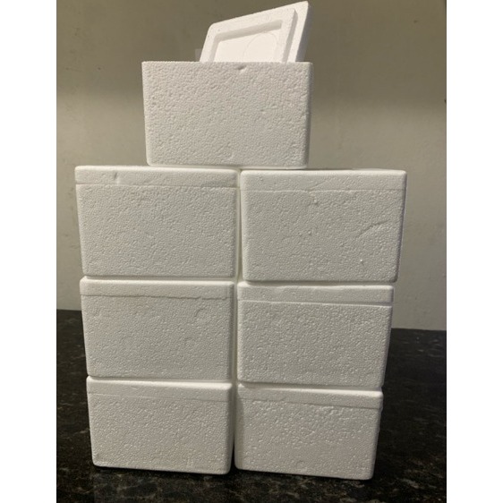 CAIXA TÉRMICA DE ISOPOR 250ML 113 x 96 x 75 — imagem 2 de 2
