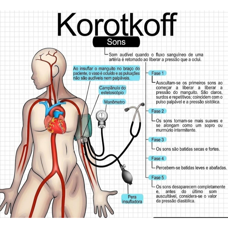 Apostila Cardiologia Clínica (medicina, fisioterapia, enfermagem e biomedicina)