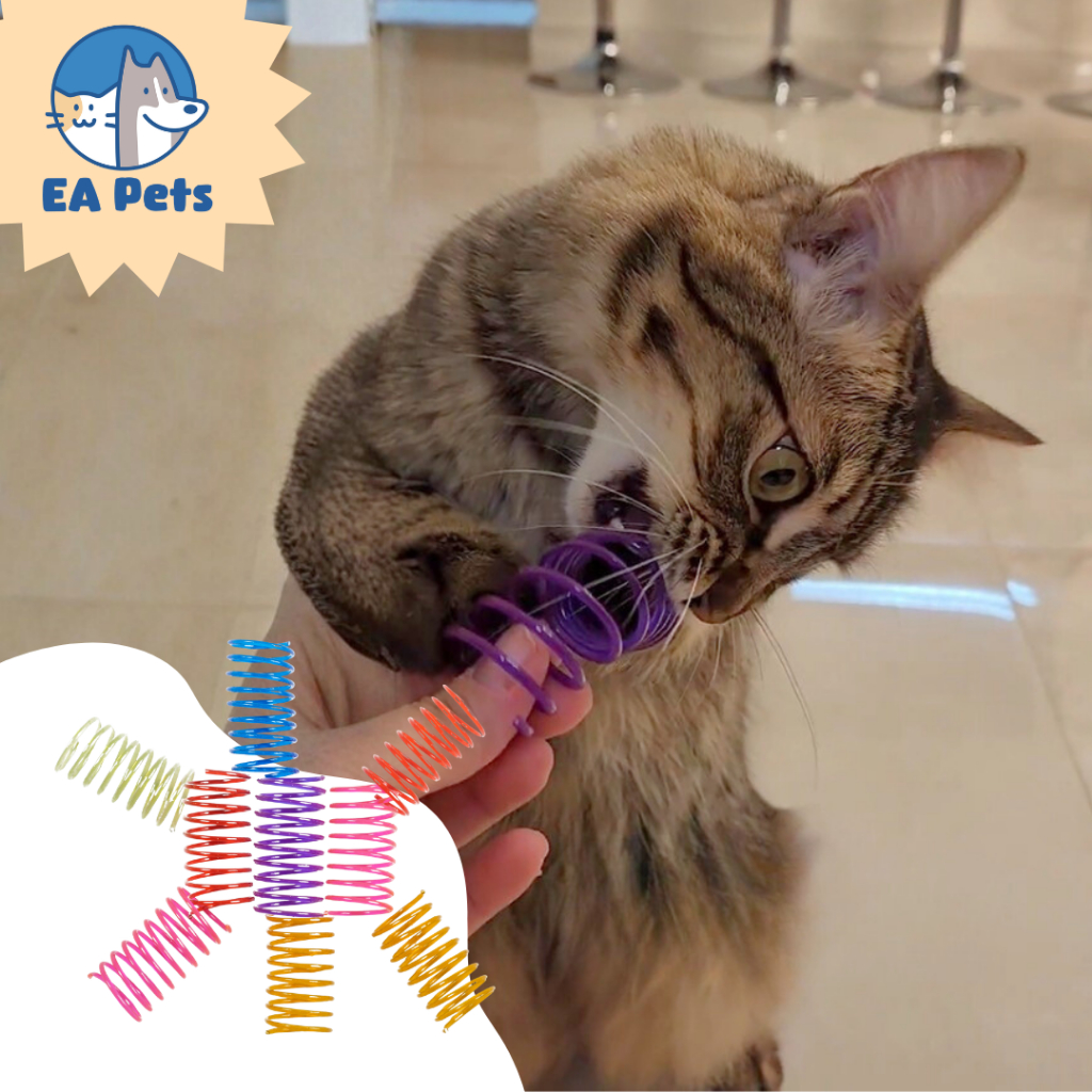 Brinquedo Da Pet Games Com 9 Molinhas Para Caçar e Brincar De Forma Divertida Segura E Saudável