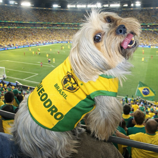 Camisa pet do Brasil, blusa do Brasil pra cachorro personalizada. em Oferta na Shopee