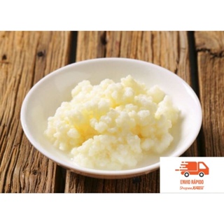 porção de Kefir de leite ativo infinito ( envio rápido) em Oferta na Shopee