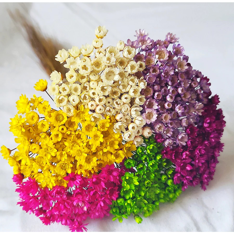 Florzinhas Sempre Viva Elegante Seca , kit com 1.200/800/400/200 Flores Maravilhosas