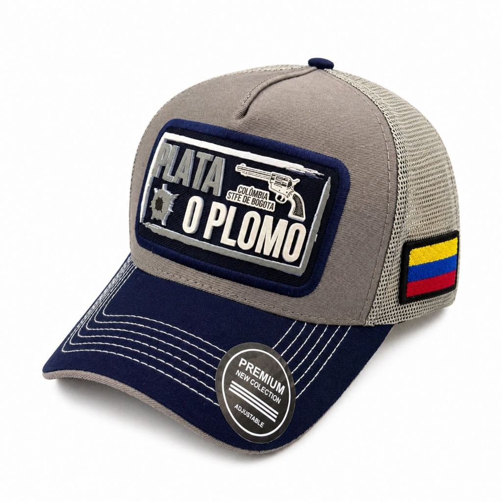 Boné Trucker Plata o Plomo Aba Curva Masculino Feminino Ajustável Estilo Urbano