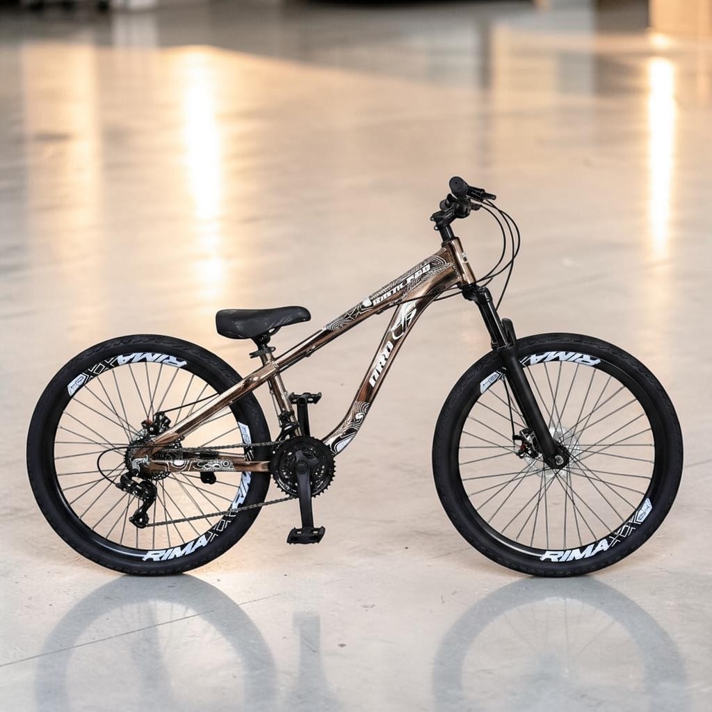 Bike Aro 26 PRO-X Freeride Preto Cromo Rodas Rimaxx 21 Marchas Downhill Freio Disco Pneu Flame Tipo Hupi Naja Bike Grau