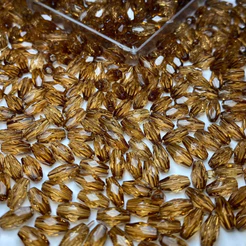 Miçanga Arroz Sextavado Acrílico 8x4mm para Artesanato