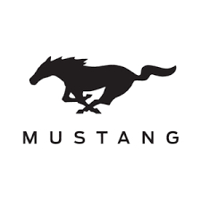 Manual do Proprietário Mustang 1970 Original Raridade