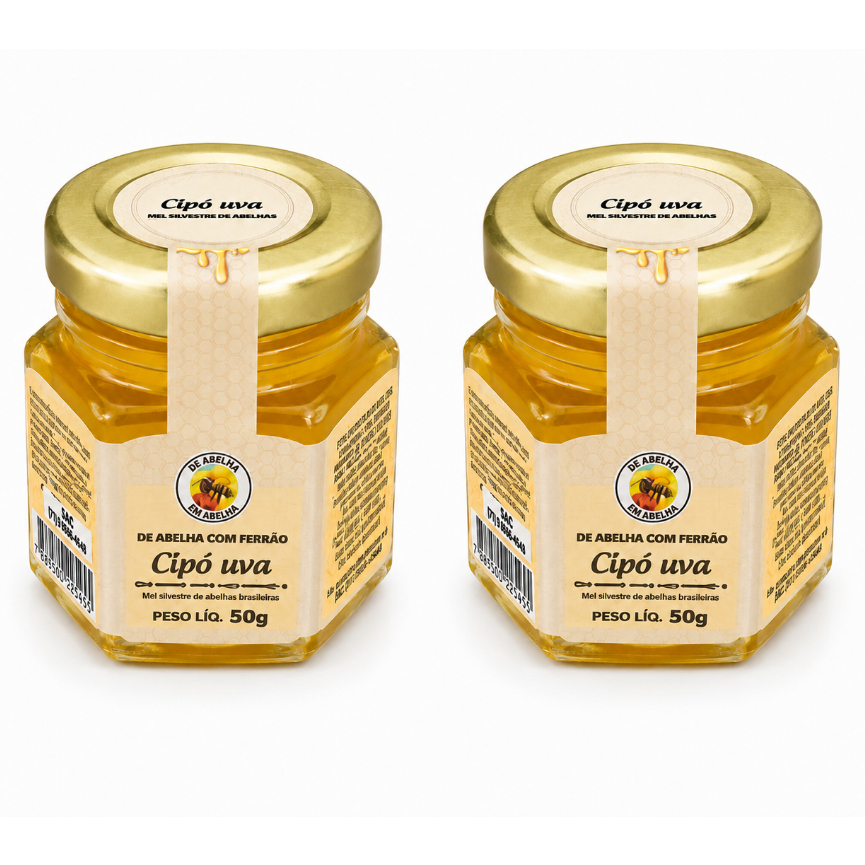 Mel Florada Cipó Uva 50g Ouro Líquido 2un De Abelha Em Abelha