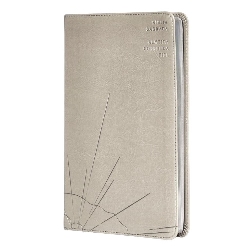 Biblia Sagrada Slim - ACF - Capa Luxo Cinza