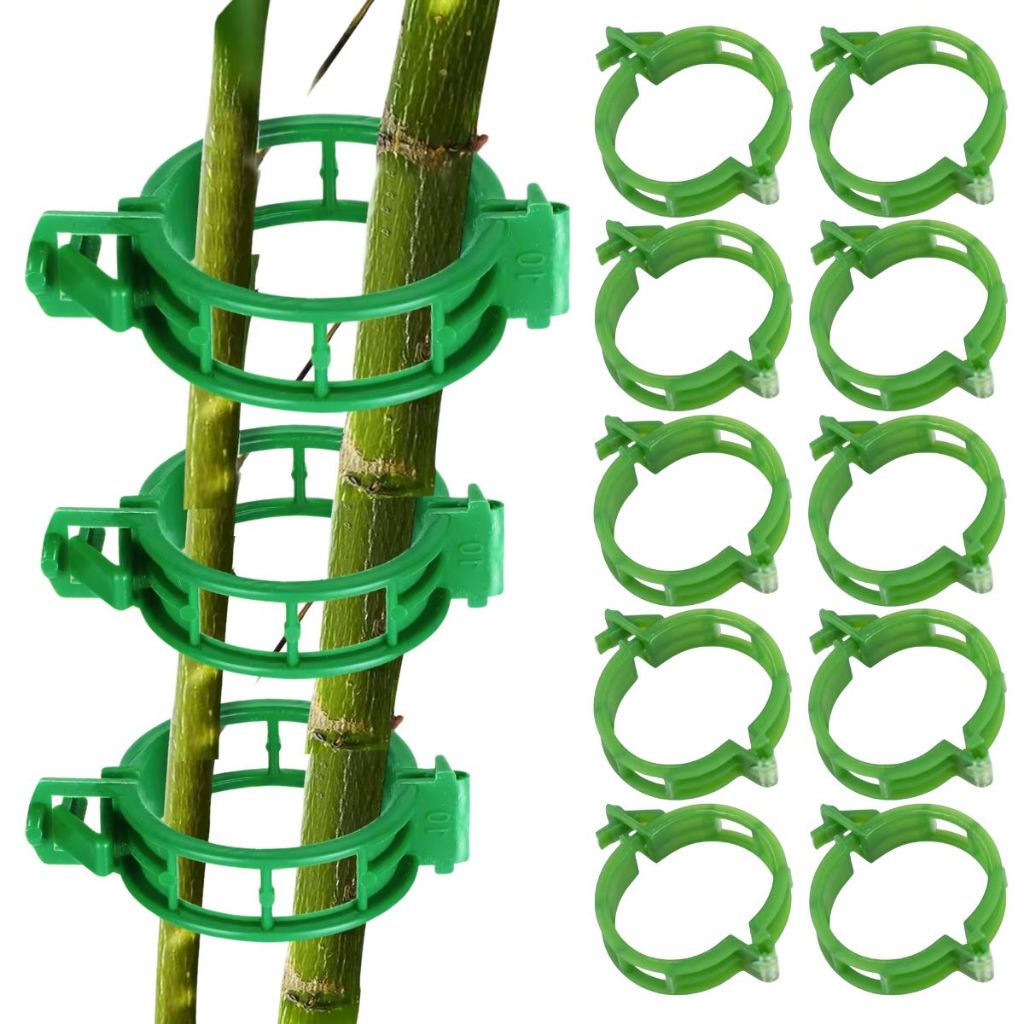 Kit 10/100 Clip Tutor de Tomate Verde 23mm Anel Para Tomateiro Grampo Reutilizável Suporte Planta Trepadeira
