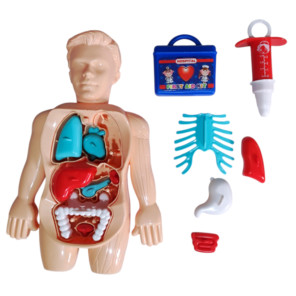 Brinquedo Infantil Kit Médico com Boneco Corpo Humano e Acessórios