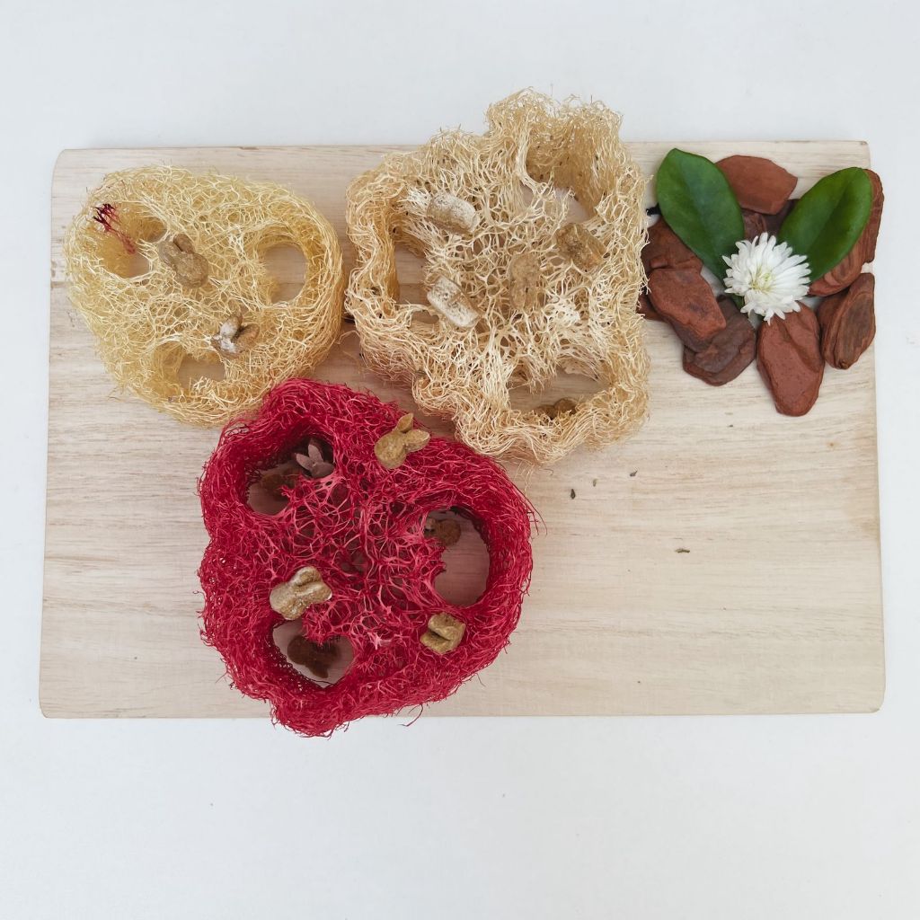 Bucha vegetal Saborizada - Petisco para coelhos e roedores