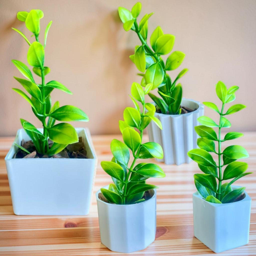 Kit 4 Vasos com Musgo Verde - Enfeite de Mesa ou Prateleira