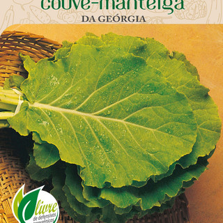 Sementes de Couve Manteiga deliciosa! - Alta Germinação