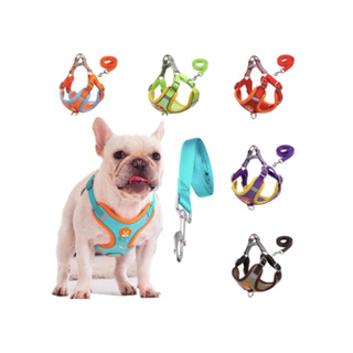 Coleira Peitoral Cachorro E Gato, Conjunto De Guia + Coleira Tipo Colete Para Pet Pequenos E Médios em Oferta na Shopee