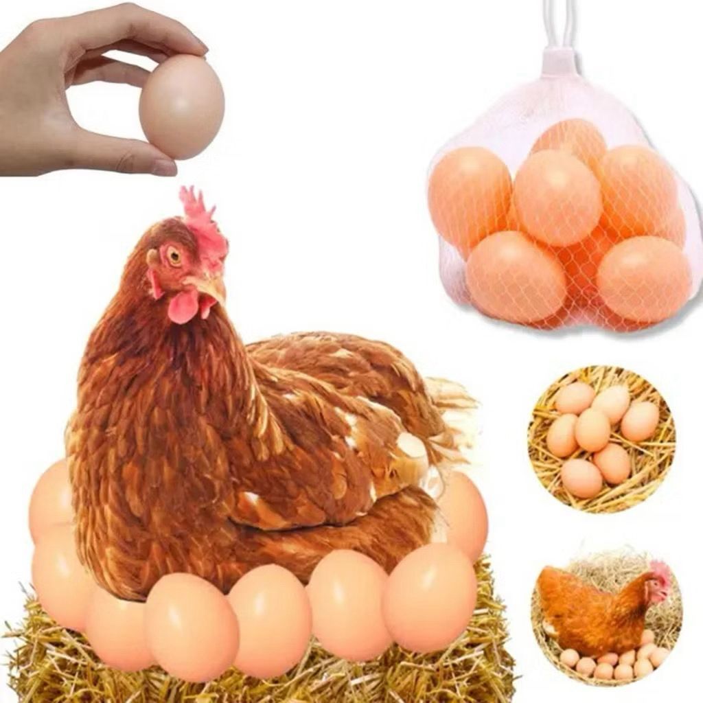 kit 36 Ovos de Plástico Galinheiro para Indez Galinha Ovo de Mentira Brinquedo