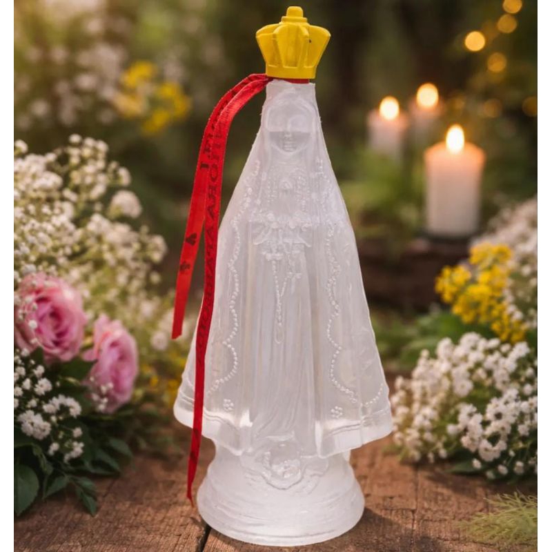 imagem nossa Senhora Aparecida porta água benta garrafa plástica católico proteção lembrança