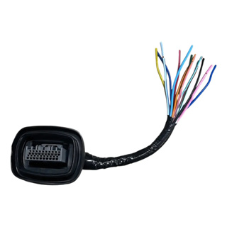 Conector Painel Chicote - Fan/titan 160 - em Oferta na Shopee