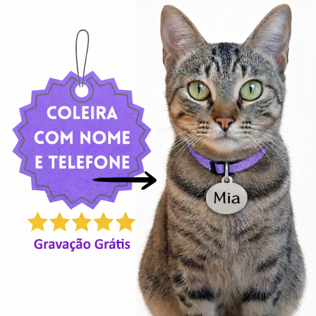 Coleira para Gato Anti Enforcamento com Identificação Nome e Telefone