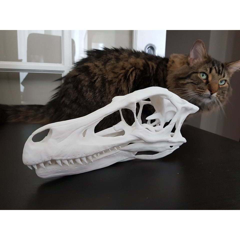 🦖 Título: Crânio Velociraptor Decorativo | Impressão 3D Realista | Peça Geek e Paleontológica  📄 Descrição do Produto: T