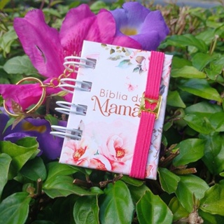 Chaveiro Mini Bíblia da Mamãe com 20 Versículos kit 2 Unidades – Lembrancinha Dia das Mães em Oferta na Shopee