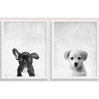 Quadros Decorativos Pets Cachorros Fofos Bulldog e Vira-lata Preto e Branco (2 peças)