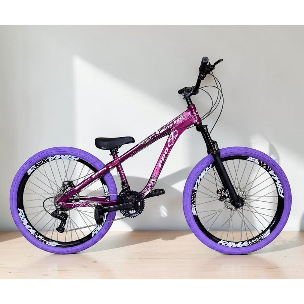 Bicicleta Aro 26 PRO-X Rustic Roxo Freeride 21v Aro Vmaxx Freio a Disco Pneu Flame