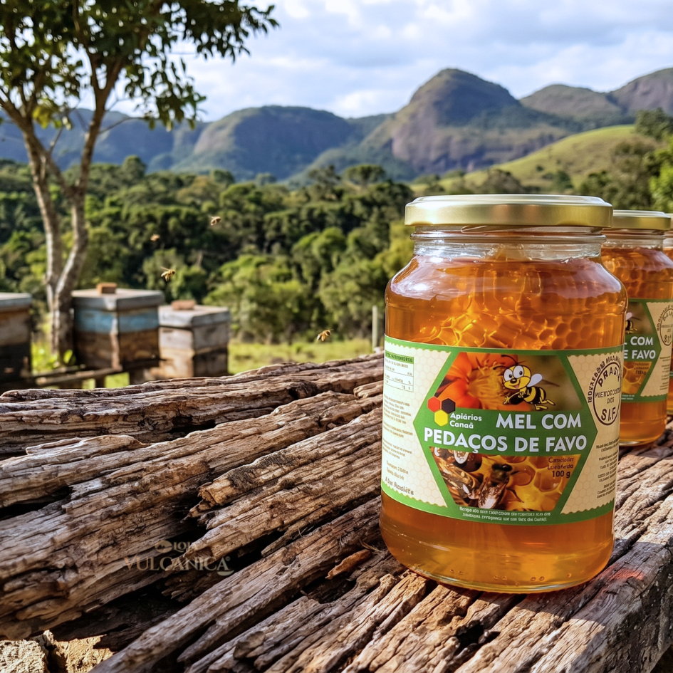 Mel Puro Com Favo In Natura Florada Silvestre 700g Apiários Canaã - Selo SIF — imagem 2 de 2