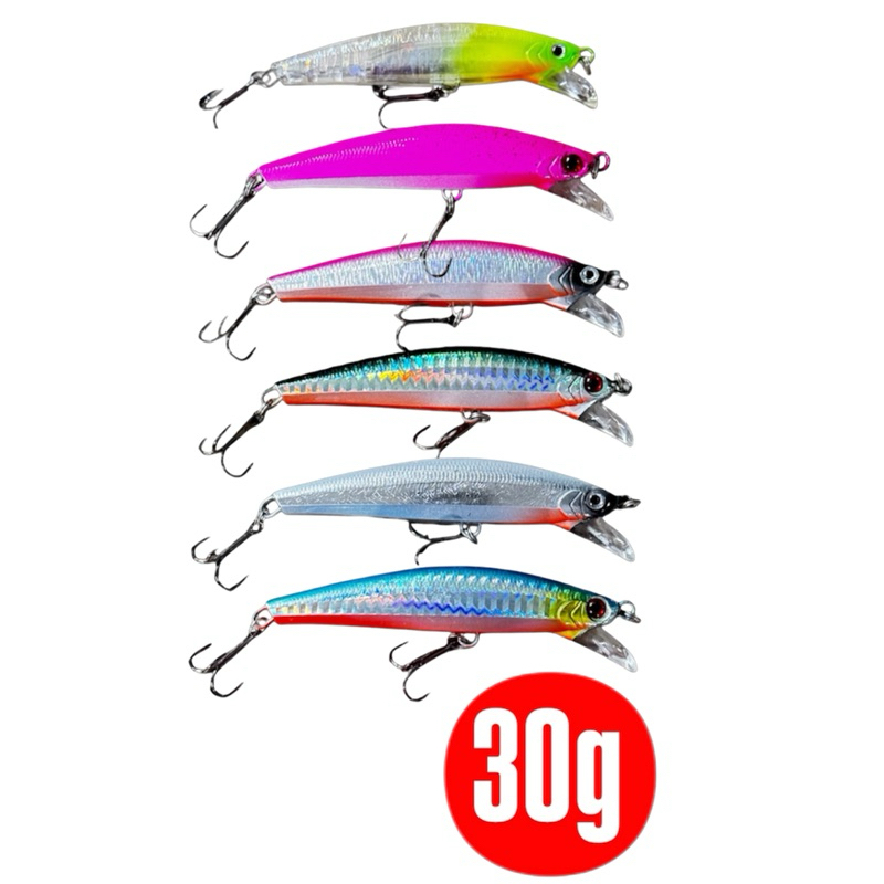 Isca RockFishing 95mm 30g Artemis (Anchova/Robalo)