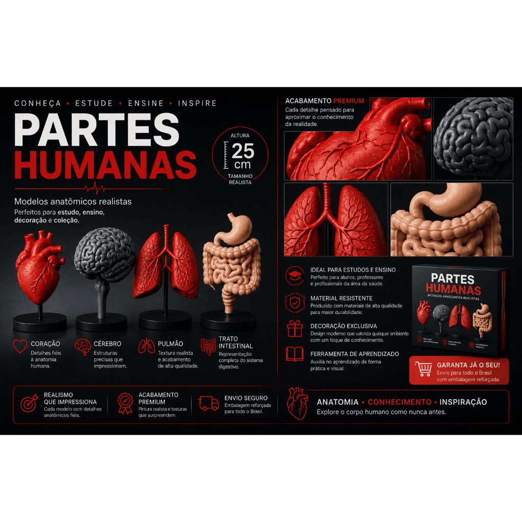 Anatomia Humana em Impressão 3D – Cérebro, Pulmão, Coração e Sistema Digestivo