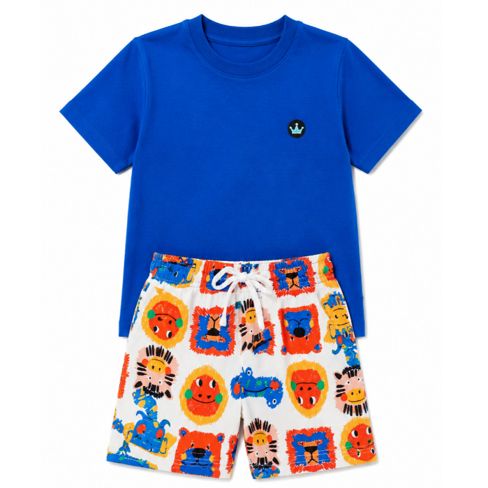 Conjunto Infantil Menino Kit 2 Pçs: Blusa Infantil + Bermuda