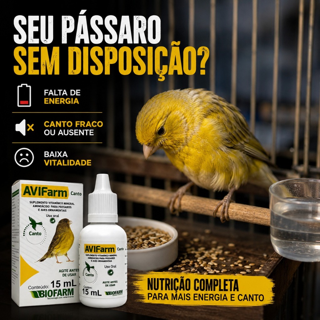 AVIFarm Canto 15ml Vitamina Para Canário Coleiro Curió Trinca Ferro Energia E Canto Natural Aves