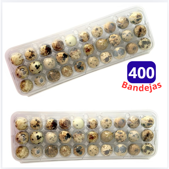 400 Unidades Embalagem Para 30 Ovos de Codorna Cartela Plástica Transparente Alta Resistência Bandeja Porta Ovos