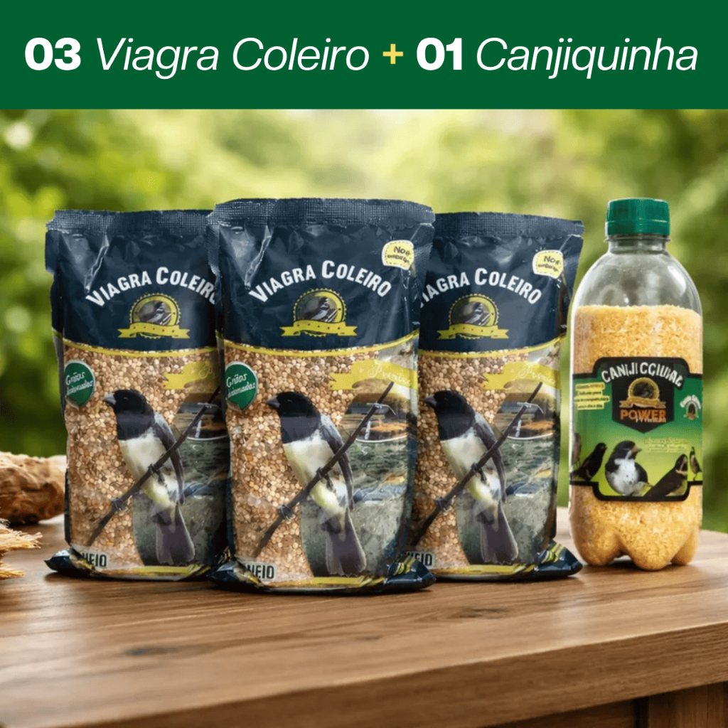 3 Viagra Coleiro + 1 Canjiquinha Power Energético Canjiquinha Power E Estimulante Viagra Coleiro Para Pássaros Curió