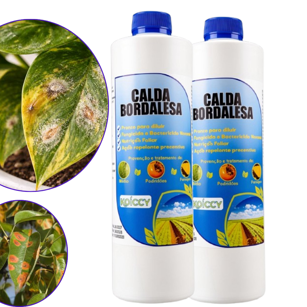 Calda Bordalesa Fungicida e Bactericida Fertilizante 500Ml - 21Unidades